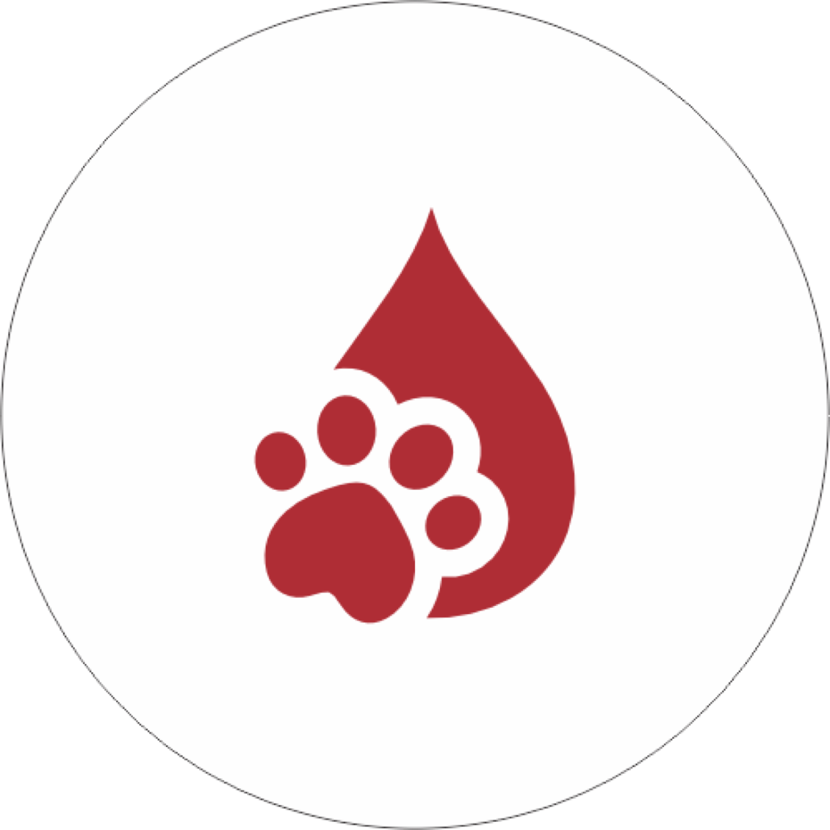 Exames de Sangue